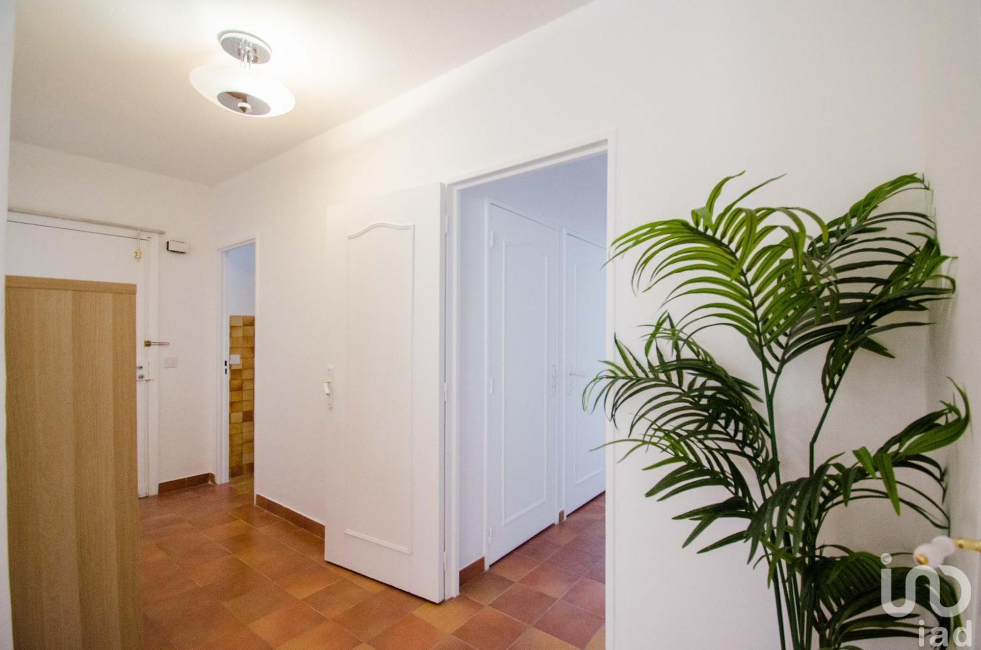 Magnifique Appartement Proche Des Plages Plus Garage Prive Antibes Dış mekan fotoğraf