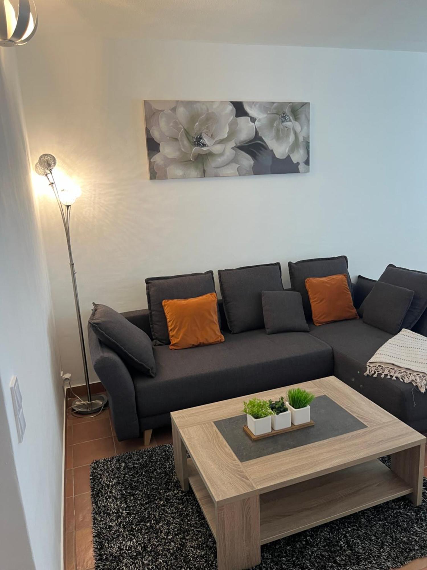 Magnifique Appartement Proche Des Plages Plus Garage Prive Antibes Dış mekan fotoğraf